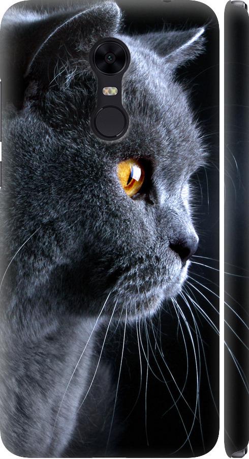 Чехол на Xiaomi Redmi 5 Plus Красивый кот (3038m-1347-42517)