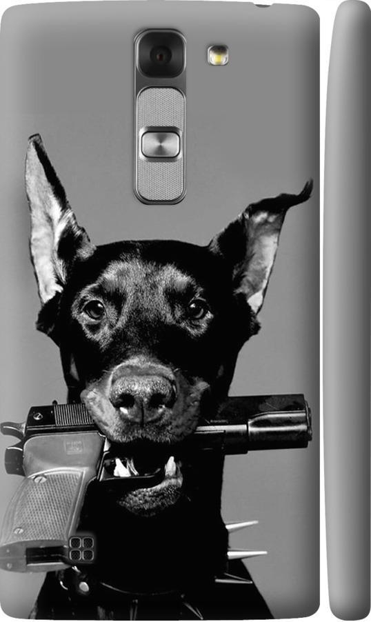Чехол на LG G4c H522y Доберман (2745c-389-42517)