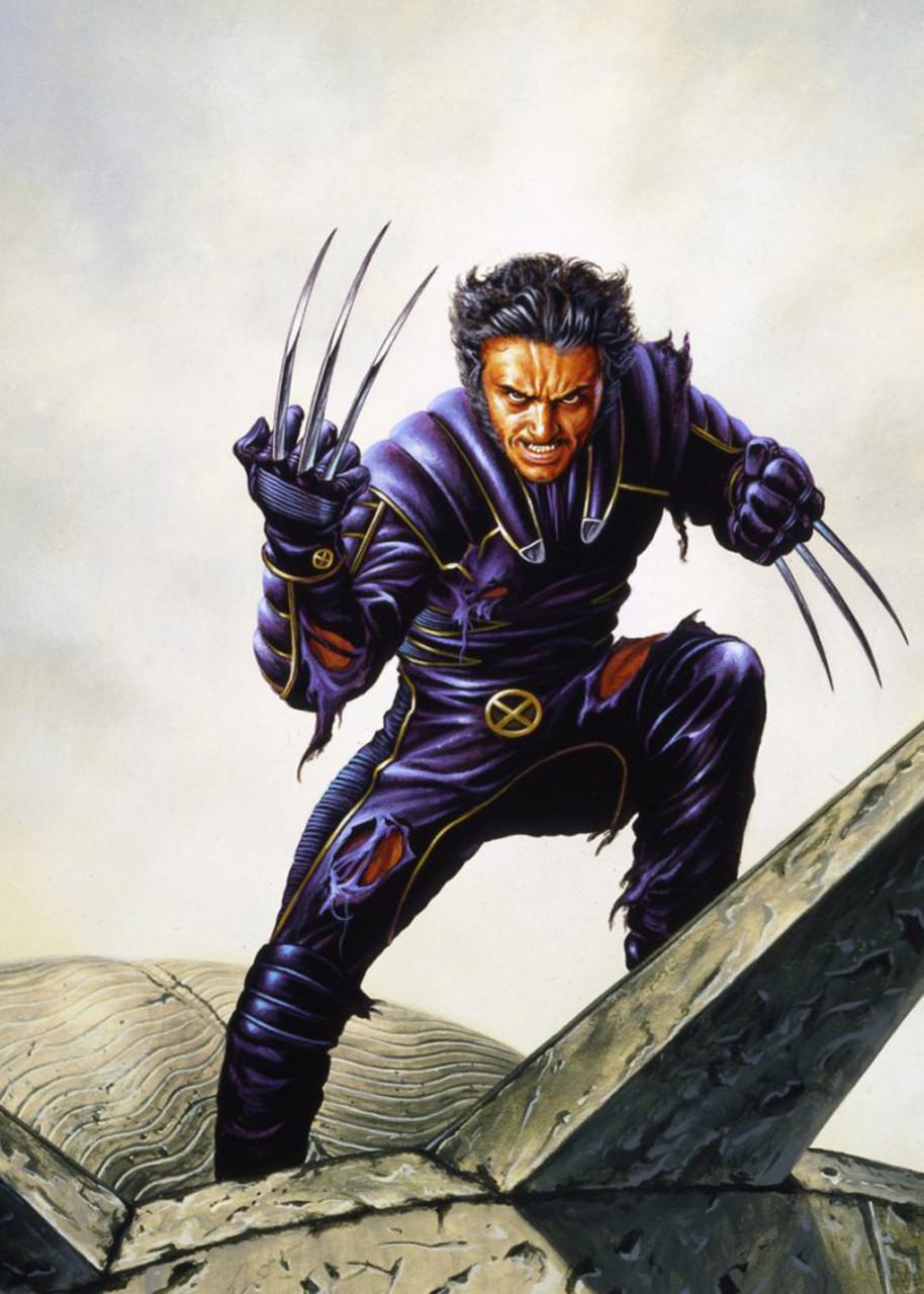 Картина GeekLand Wolverine Fan 60х40 см (WR.09.027)
