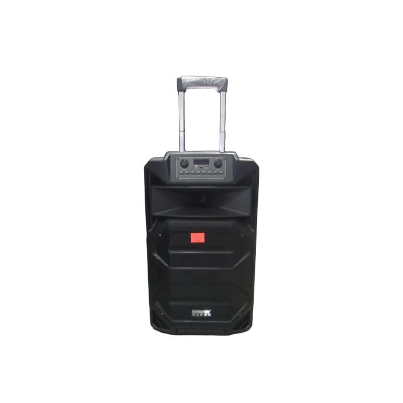 Колонка Temeisheng SL 15-31T 240 Вт с двумя микрофонами (45718-_10798) Колонка Temeisheng SL 15-31T 240 Вт с двумя микрофонами (45718-_10798)