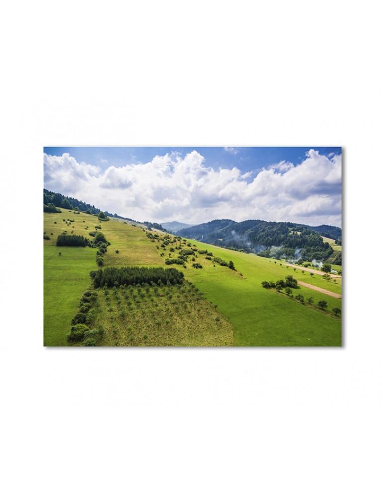 Картина модульная Пейзажи холмов 1 модуль 50x75 см