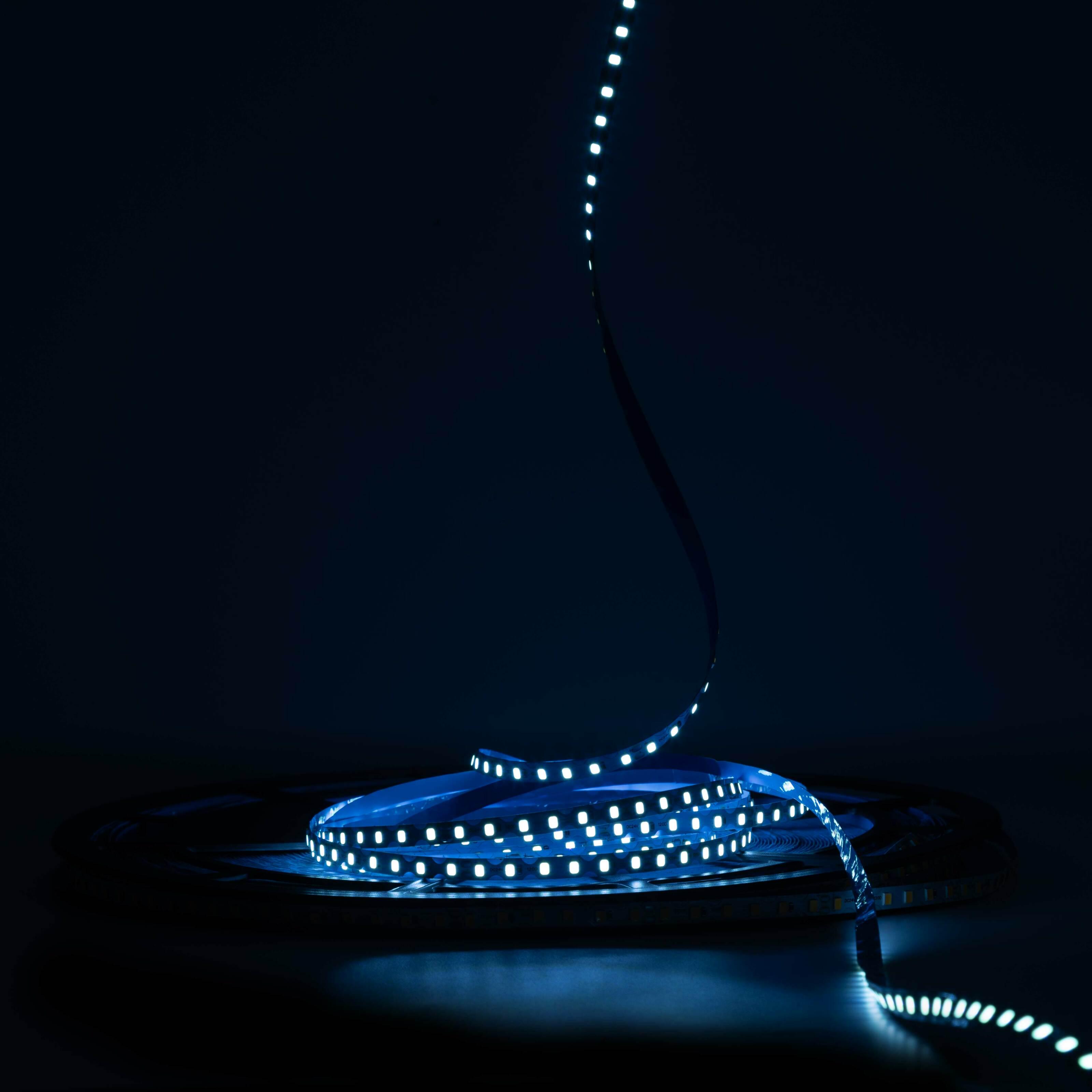 Светодиодная лента Prolum IP20 2835/120 S-TYPE Series-S 24V 6 мм Голубой Лед (28522788) - фото 2 Светодиодная лента Prolum IP20 2835/120 S-TYPE Series-S 24V 6 мм Голубой Лед (28522788) - фото 2