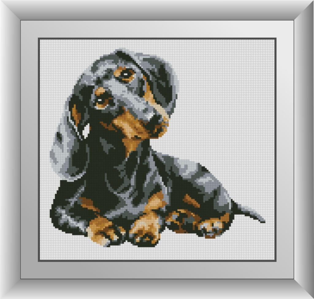 Алмазная мозаика Dream Art Любопытная такса 32x34 см (DA.30571)