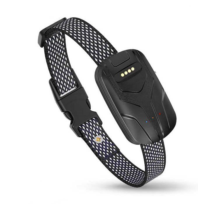 Трекер для собак і котів TIZE Smart 4G GPS з ошийником 750 мАг Black (2529408657)