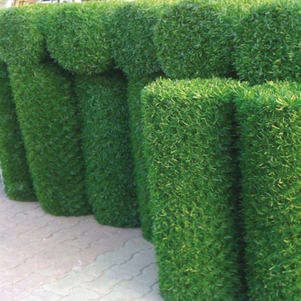 Огорожа зелена з сітки рабиці 2х5м, (1674791224) - фото 3 Огорожа зелена з сітки рабиці 2х5м, (1674791224) - фото 3