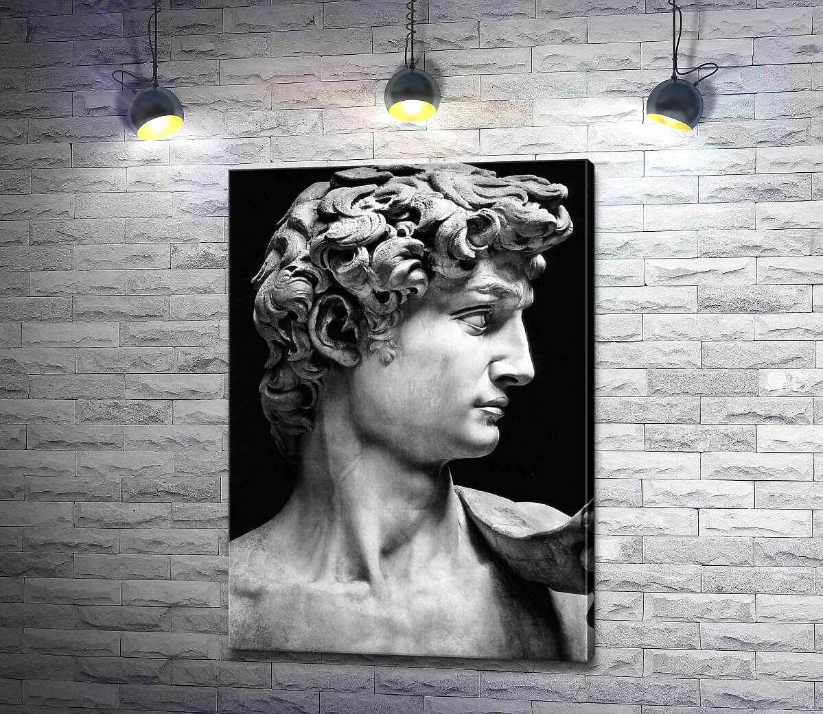 Картина ArtPoster Профиль скульптуры Давида (David) - Микеланджело Буонарроти (Michelangelo Buonarroti) 92x130 см Модуль №1 (000158) - фото 1