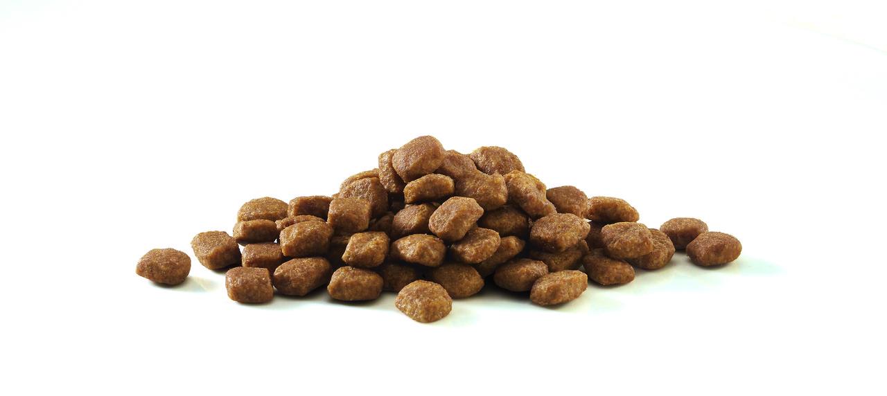 Сухий корм для кішок Purina One Sensitive з індичкою і рисом 800 г (7613035467903) - фото 5 Сухий корм для кішок Purina One Sensitive з індичкою і рисом 800 г (7613035467903) - фото 5