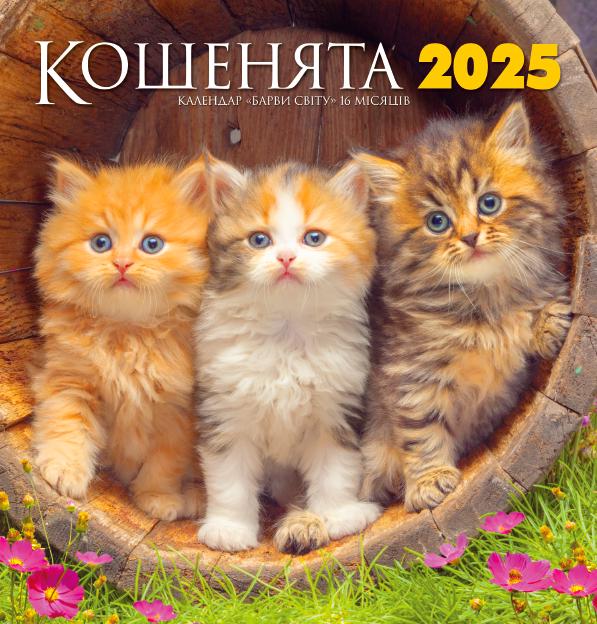 Календар на 2025 рік Барви світу Кошенята