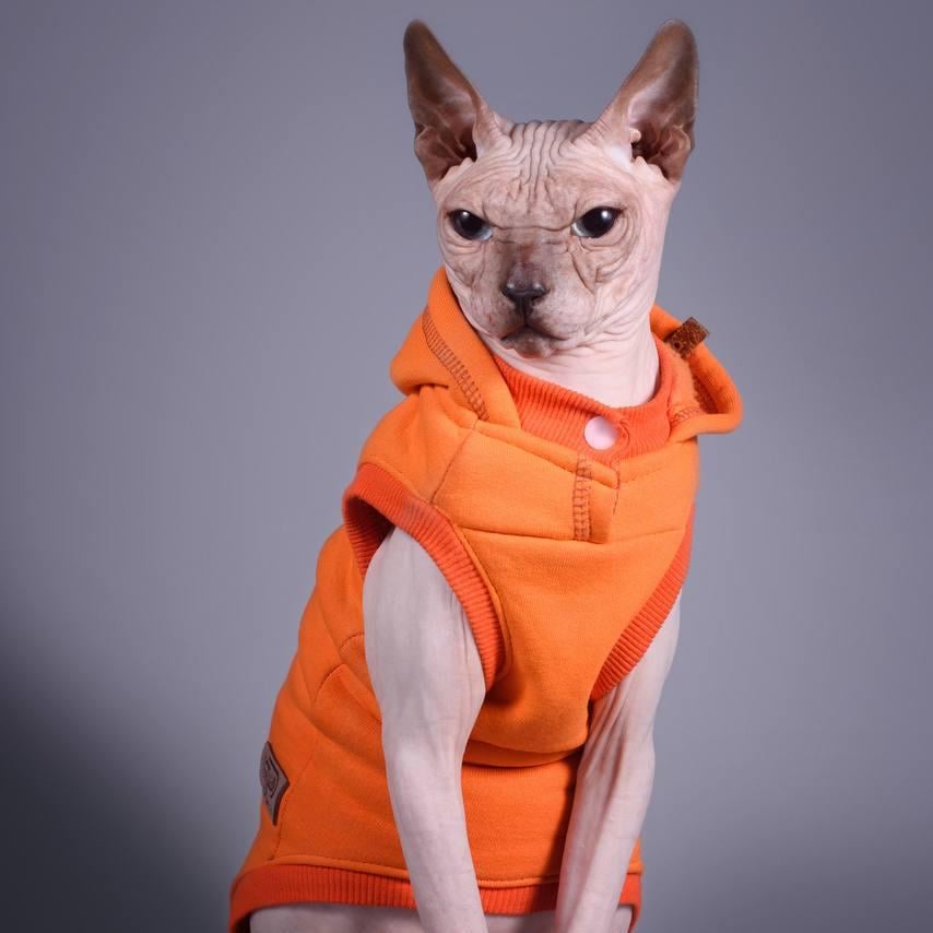 Майка спортивна для котів з капюшоном Style Pets Squash XL Orange (485XL) - фото 2