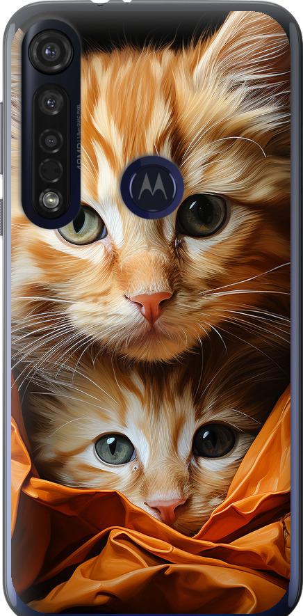 Чехол на Motorola G8 Plus Котики 2 (5664u-1837-42517)