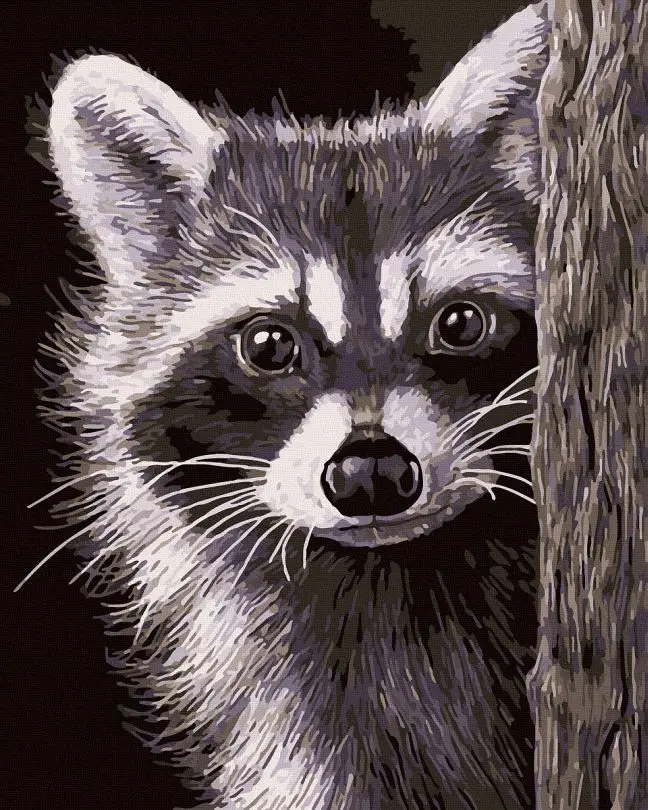 Картина по номерам Brushme Милый енотик 40x50 см (BRM42924)