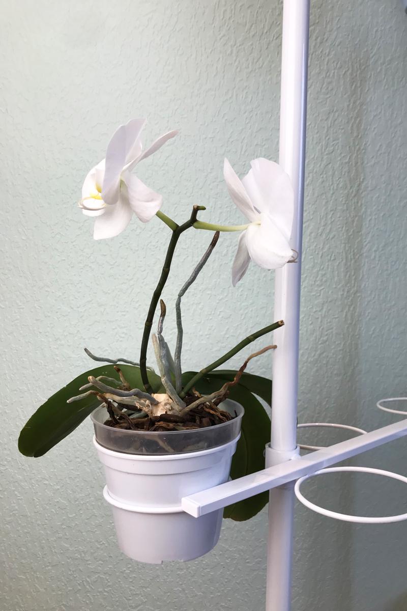 Підставка для квітів BeStand Квін 120 на 21 вазон з трьома рухомими планками 123 см Білий - фото 4 Підставка для квітів BeStand Квін 120 на 21 вазон з трьома рухомими планками 123 см Білий - фото 4