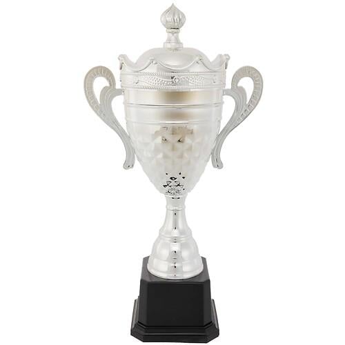Кубок спортивный наградный SP-Sport King JZ19629-B 47х24х15 см Серебряный (31807899)