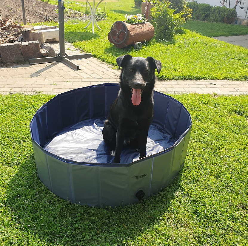 Бассейн для собак Purlov XXL 100x30 см (20929) - фото 9