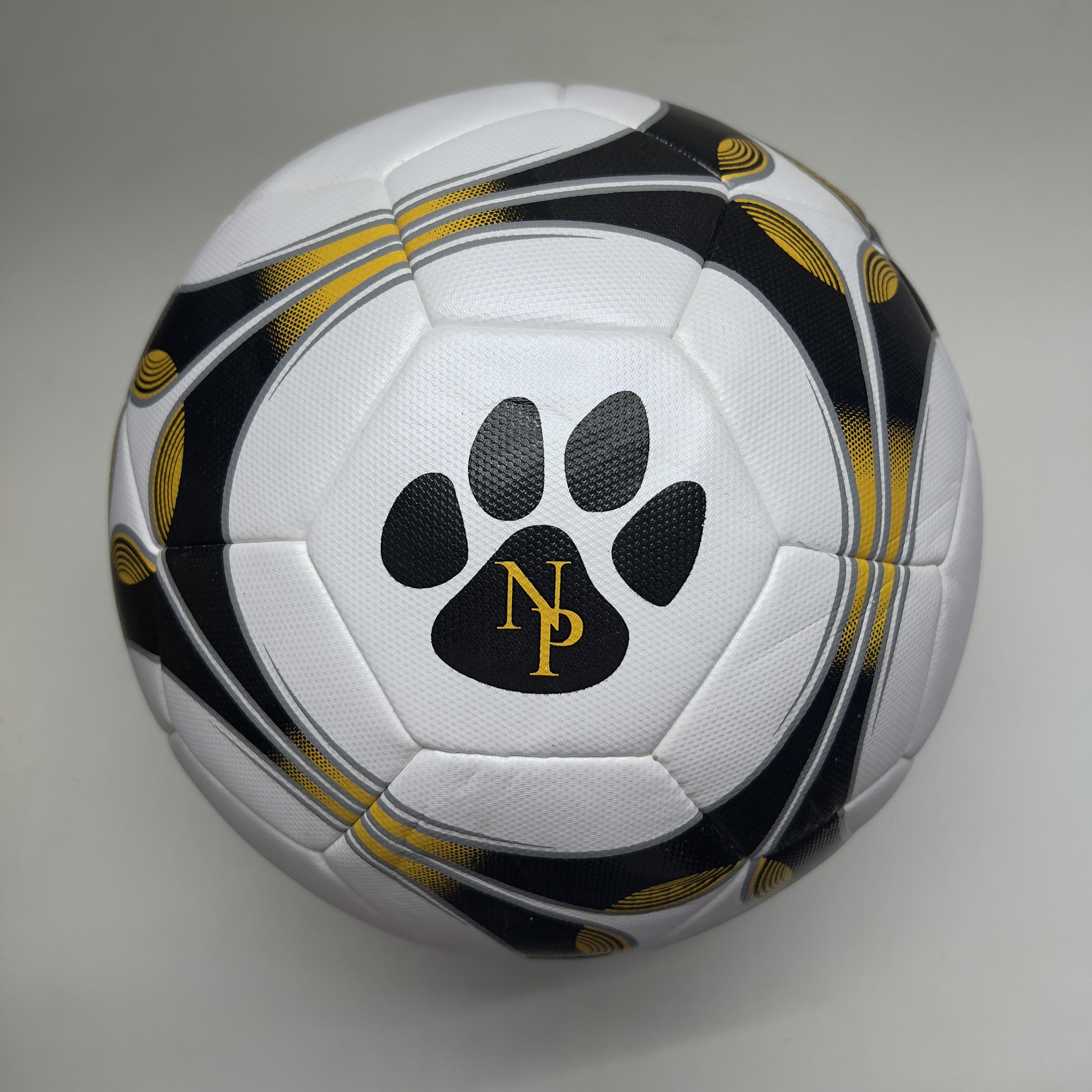 Мяч футбольный гибридный Practic NP Size 5 (11240018)