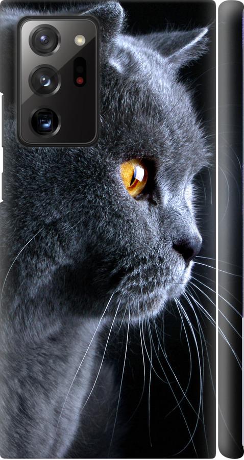 Чехол на Samsung Galaxy Note 20 Ultra Красивый кот (3038m-2051-42517)