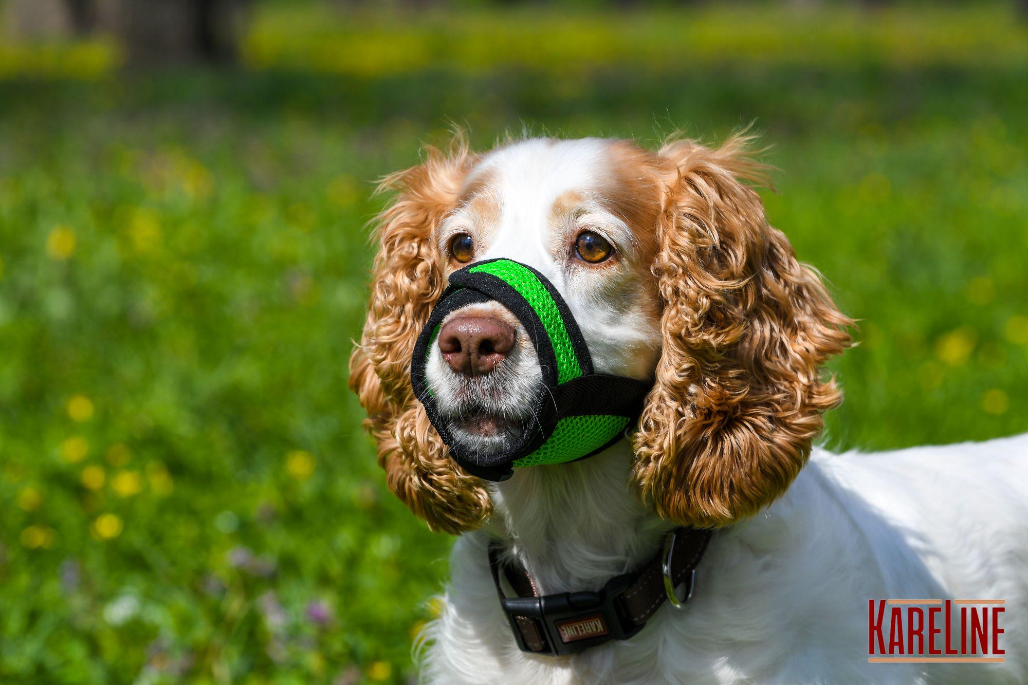 Намордник сетка KareLine из нейлона для йорка XXS (0530/51) - фото 3