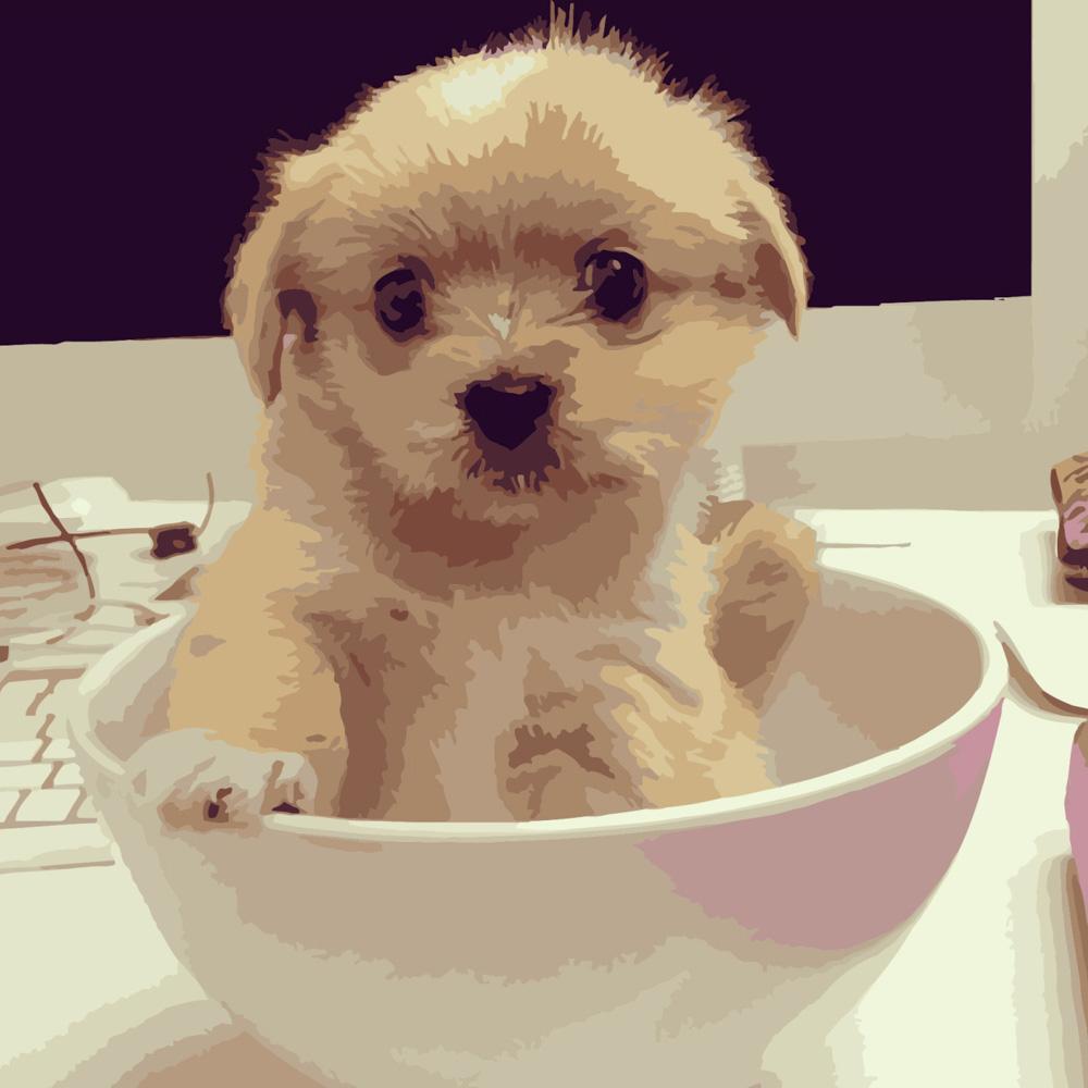 Картина по номерам Strateg Собака в чашке 40x40 см (Str-SK050)