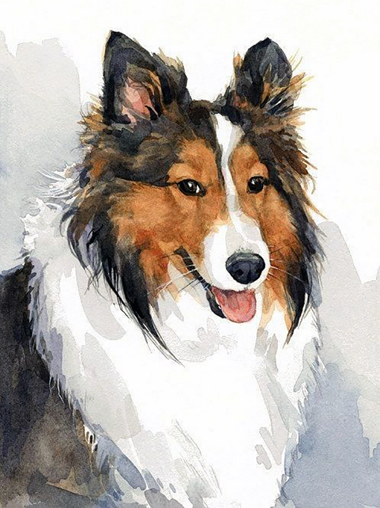 Алмазная мозаика Чарівний діамант Колли 30x40 см (КДИ-1443)