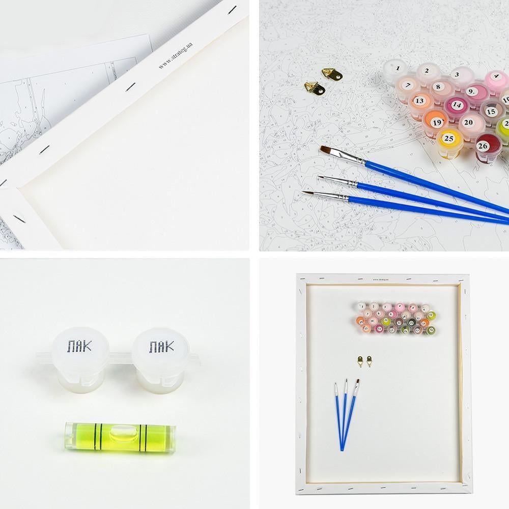 Картина по номерам Strateg Премиум Крутый байкер с лаком 40х50 см (VA-3588) - фото 2 Картина по номерам Strateg Премиум Крутый байкер с лаком 40х50 см (VA-3588) - фото 2