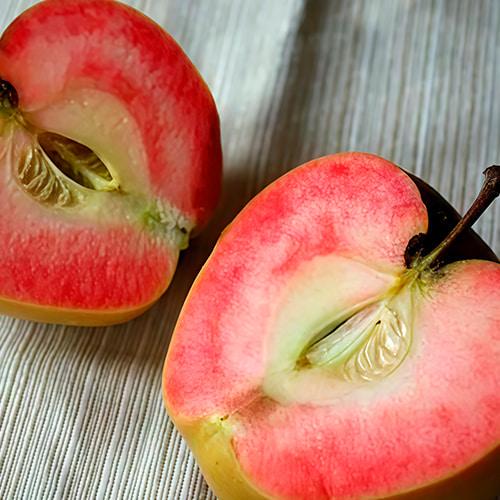 Сажанец Яблоня Пинк Перл укорененная в контейнере саженец 2 года (186590) Сажанец Яблоня Пинк Перл укорененная в контейнере саженец 2 года (186590)