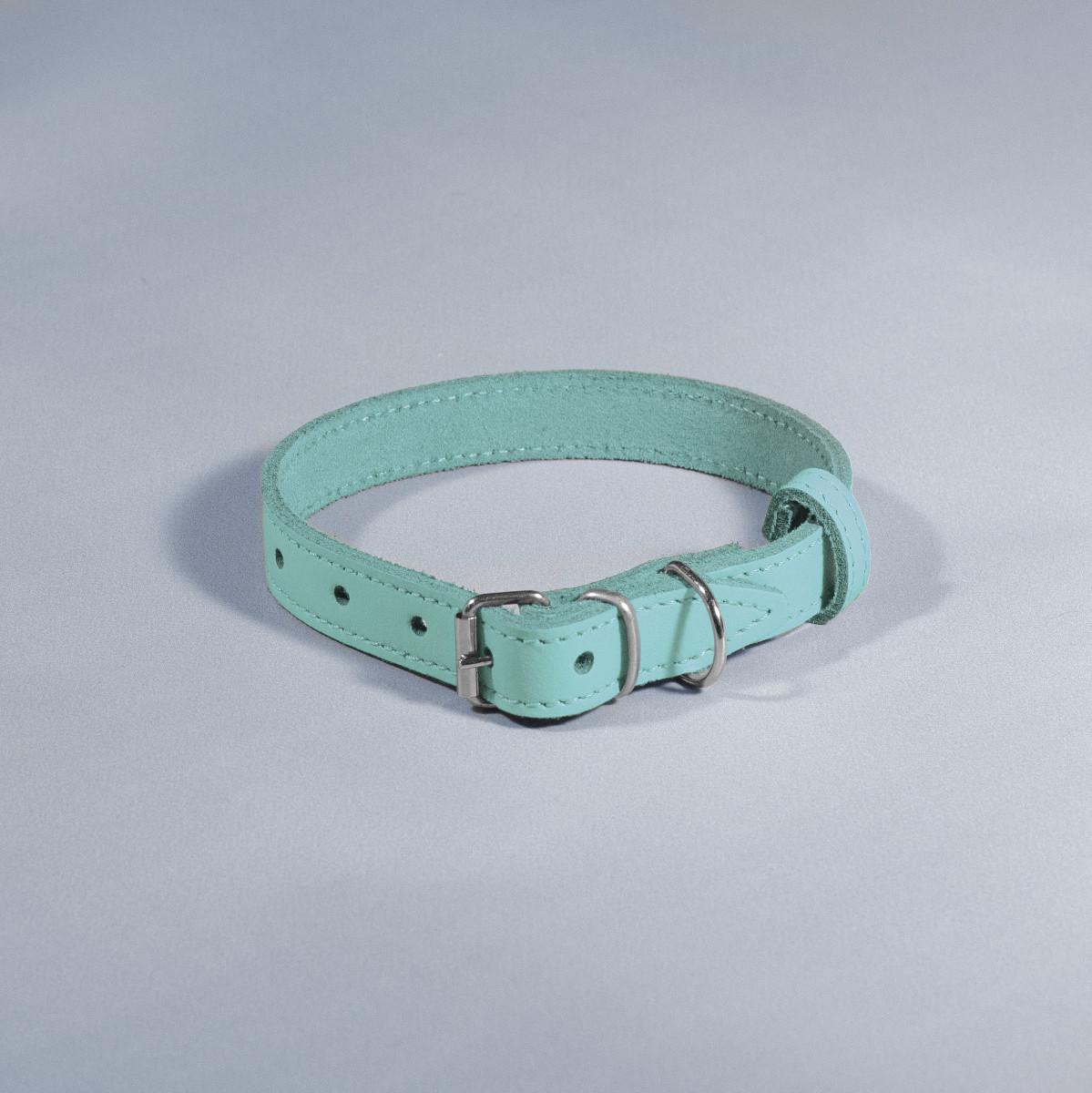 Нашийник для тварин шкіряний ВЕСНА 18 мм х 28-36 см Аквамариновий (2296448959) - фото 1 Нашийник для тварин шкіряний ВЕСНА 18 мм х 28-36 см Аквамариновий (2296448959) - фото 1