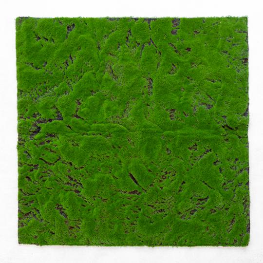 Декоративна панель зі штучного моху 100х100 см (9224-010)