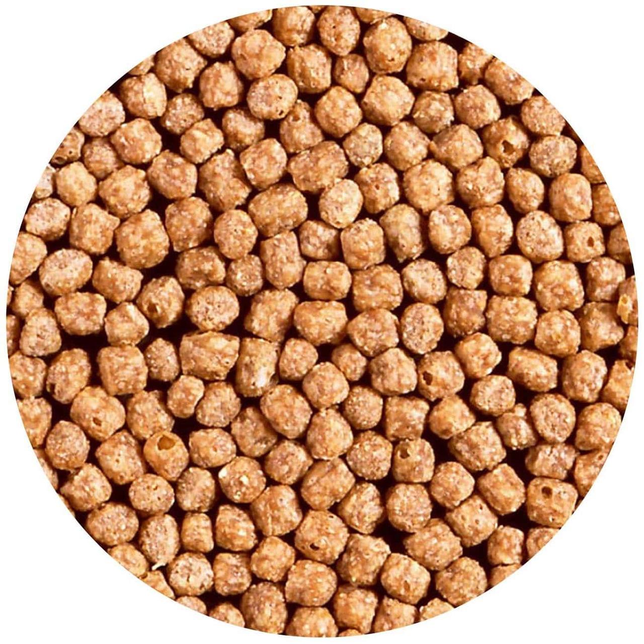 Корм легкоусвояемый Hikari Goldfish Wheat-Germ для золотых рыбок Mini S гранулы 2,7-3,0 мм/100 г (06220) - фото 2 Корм легкоусвояемый Hikari Goldfish Wheat-Germ для золотых рыбок Mini S гранулы 2,7-3,0 мм/100 г (06220) - фото 2