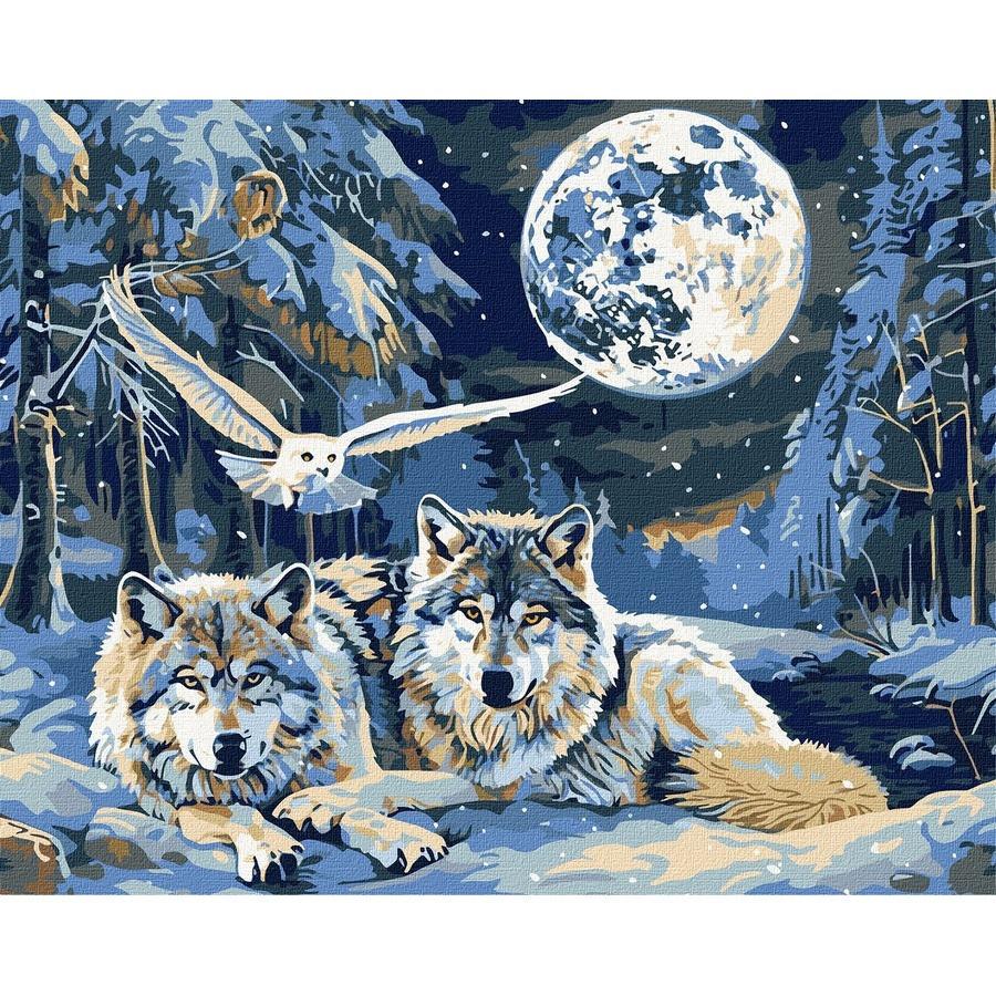 Картина по номерам Ideyka Хищники и мудрость 40x50 см (KHO6848)