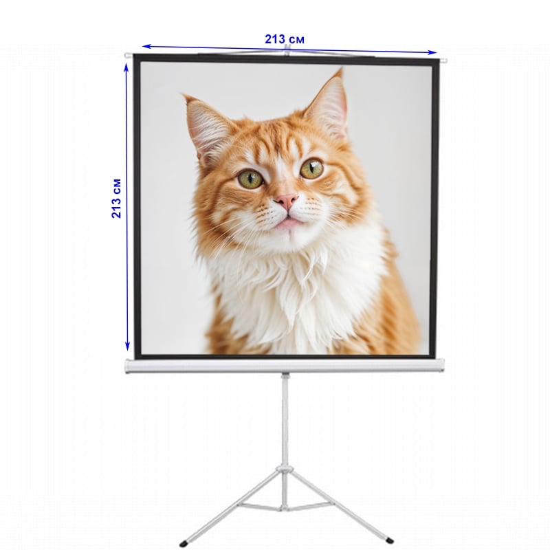 Екран проекційний EQUIPIFY ESDB118 мобільний тринога 118" 213x213 см 1:1 (tf2655) - фото 11