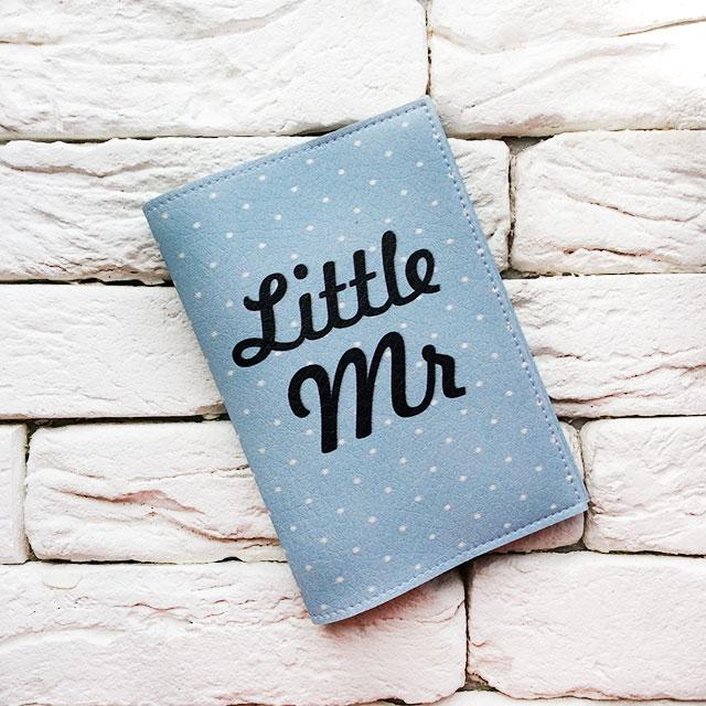 Обкладинка для паспорта Little Mr Блакитний (041) Обкладинка для паспорта Little Mr Блакитний (041)