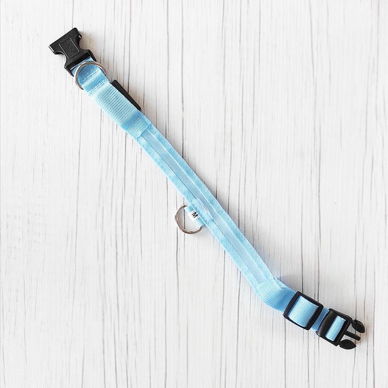 Нашийник для собак з підсвіткою XS Блакитний (1142)