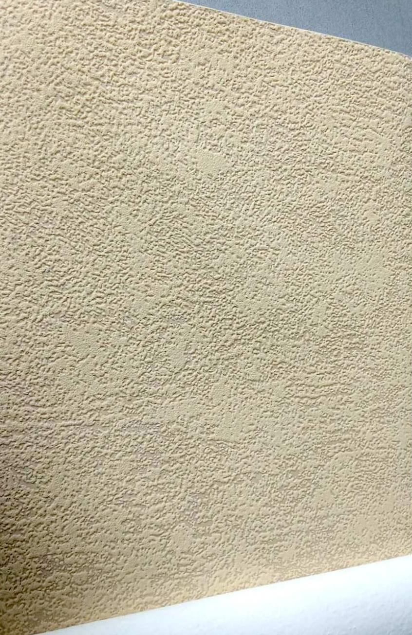 Обои виниловые BN International Ugepa Home 10,05х0,53 м на флизелиновой основе (194-14) - фото 3