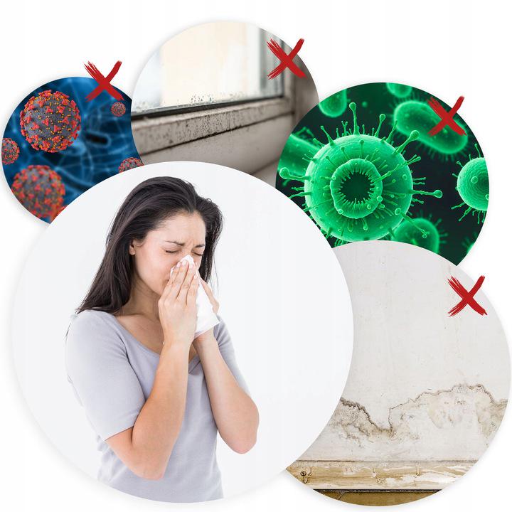 Осушитель воздуха-влагопоглотитель Berdsen BD-531 (24388967) - фото 3 Осушитель воздуха-влагопоглотитель Berdsen BD-531 (24388967) - фото 3