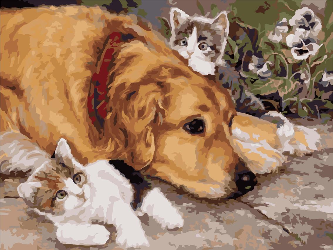 Картина по номерам Brushme H710 Песик-любимец котят 40х50 см (1563792733)