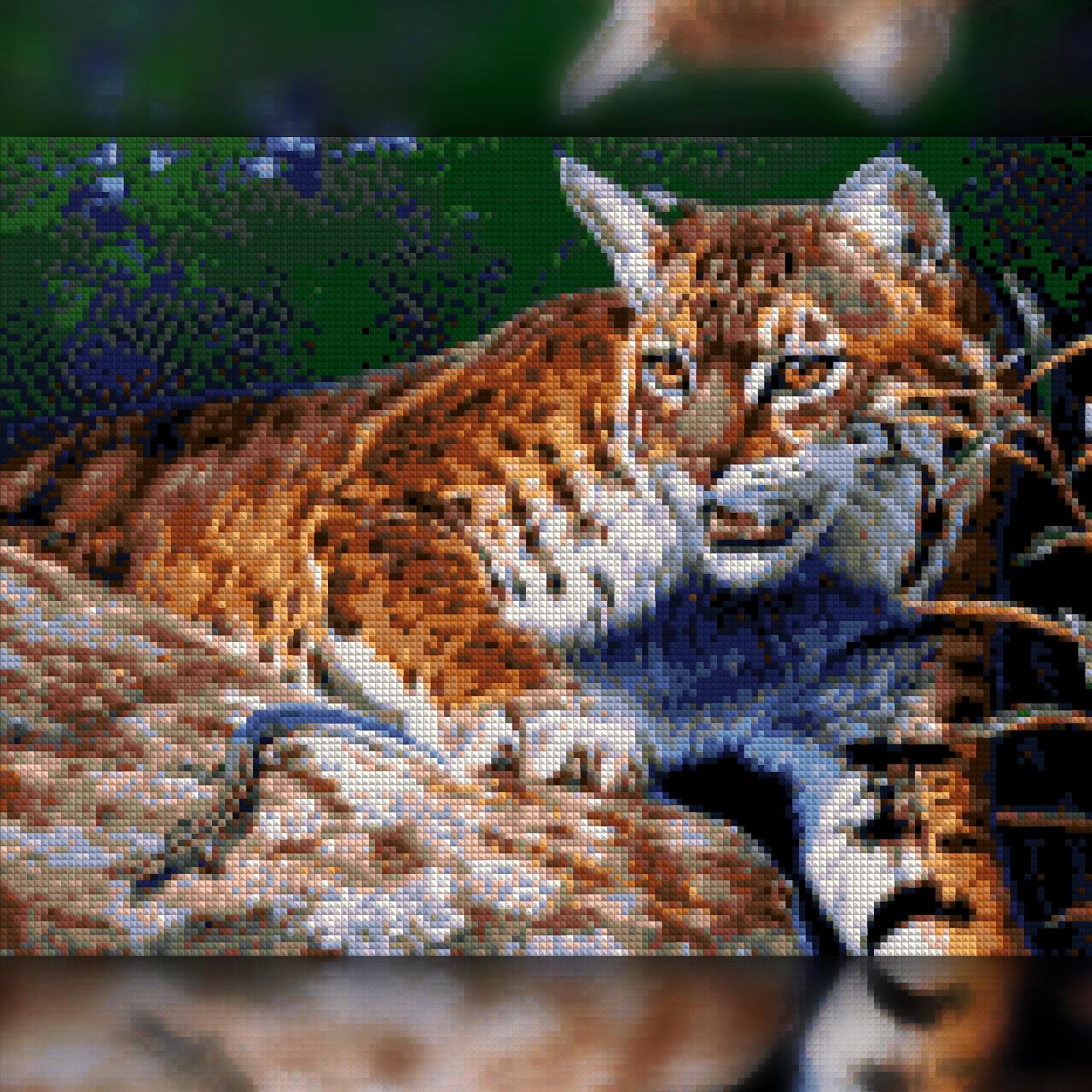 Алмазная мозаика на подрамнике The Wortex Diamonds Встреча на охоте 50x60 см (TWD20066L+P)