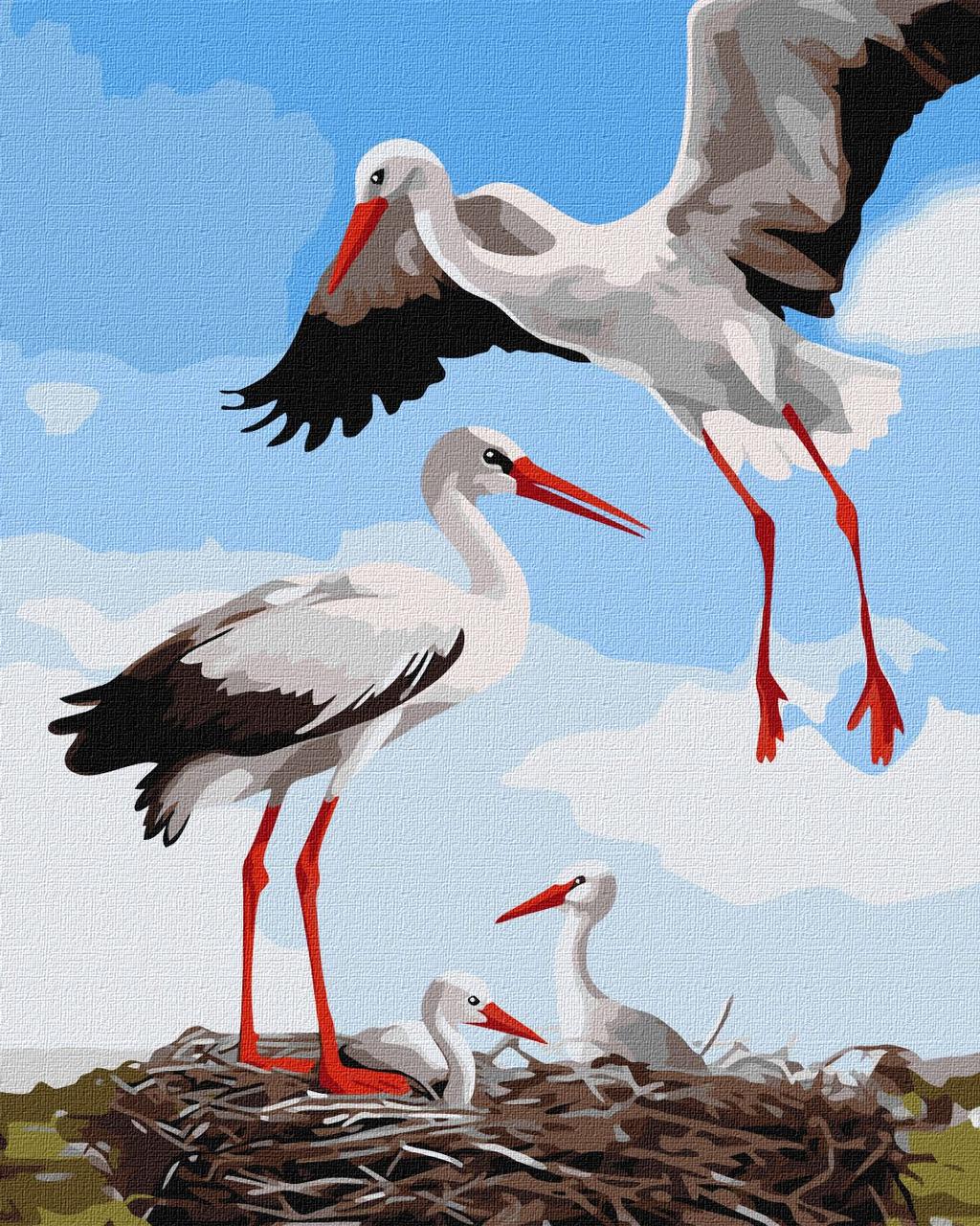 Картина по номерам Ideyka Семья аистов 40x50 см (2857040445)