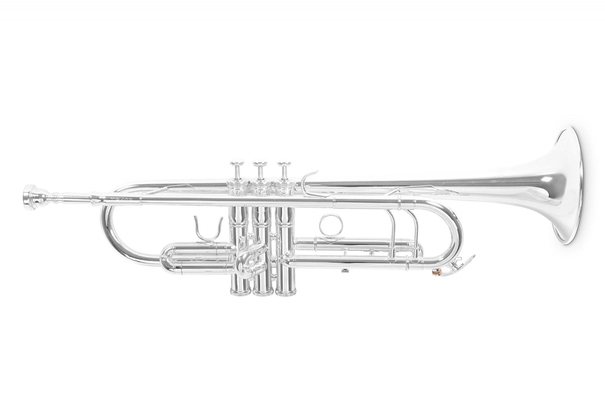 Труба Roy Benson TR-403S Bb-Trumpet латунь (G-RB701086)