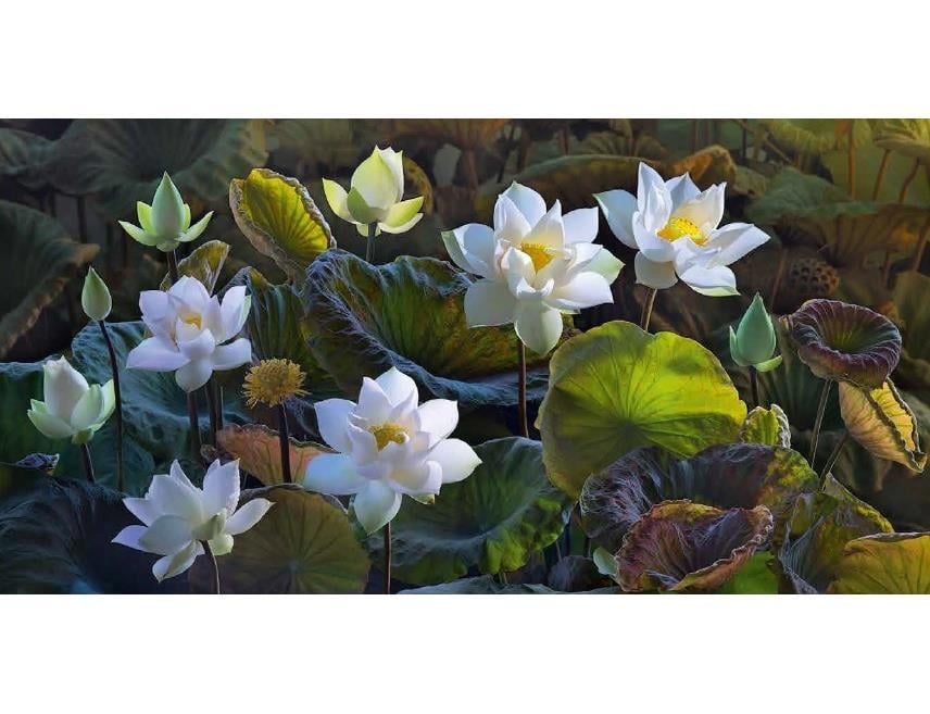 Фотообои на бумажной основе Престиж 61 Фото 61 204х392 см (2000000537016) Фотообои на бумажной основе Престиж 61 Фото 61 204х392 см (2000000537016)