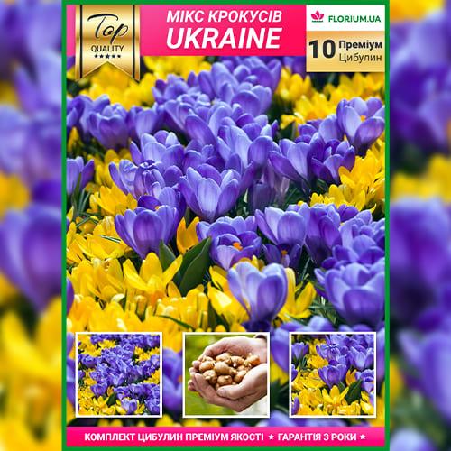 Мікс Крокусів Florium Ukraine (15662) - фото 3