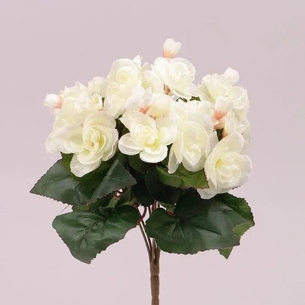Букет Бегоній Flora Кремовий (72833) Букет Бегоній Flora Кремовий (72833)