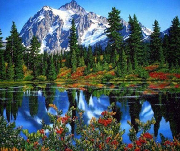 Картина по номерам Josef Otten Пейзаж Горное озеро 40х50 см в термопакете (5525Y_O-mt)