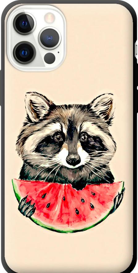 Чехол на iPhone 12 Pro Енотик с арбузом (4605b-2052-42517)
