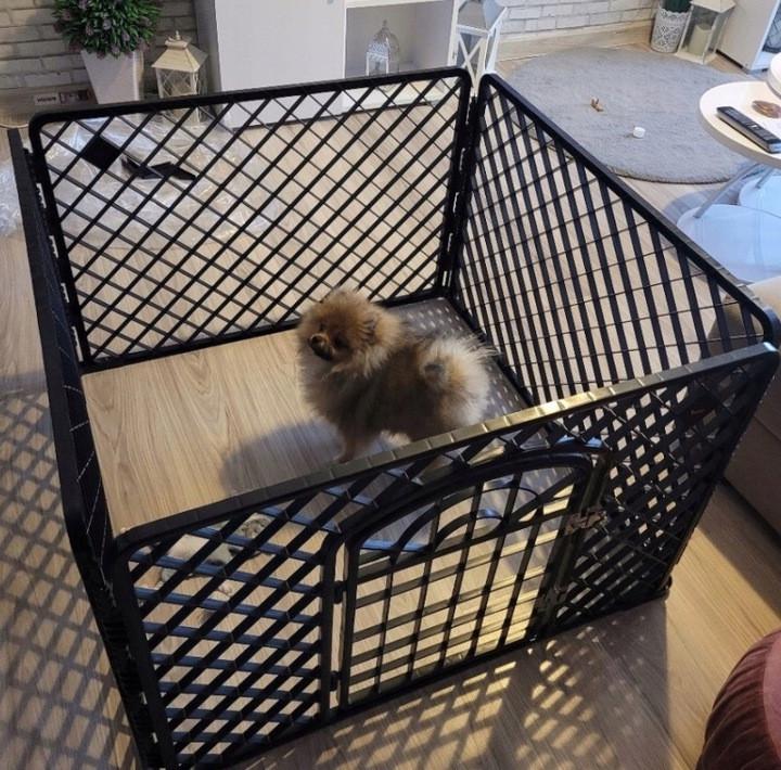 Клітка для собак та цуценят Purlov 15743 90х90х60 см - фото 2 Клітка для собак та цуценят Purlov 15743 90х90х60 см - фото 2