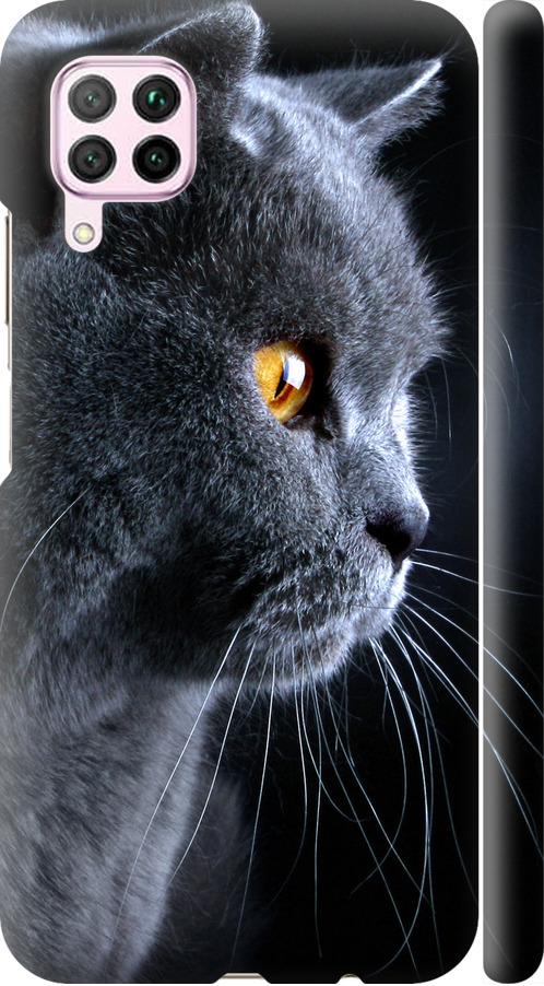 Чехол на Huawei Nova 6SE Красивый кот (3038m-1823-42517)