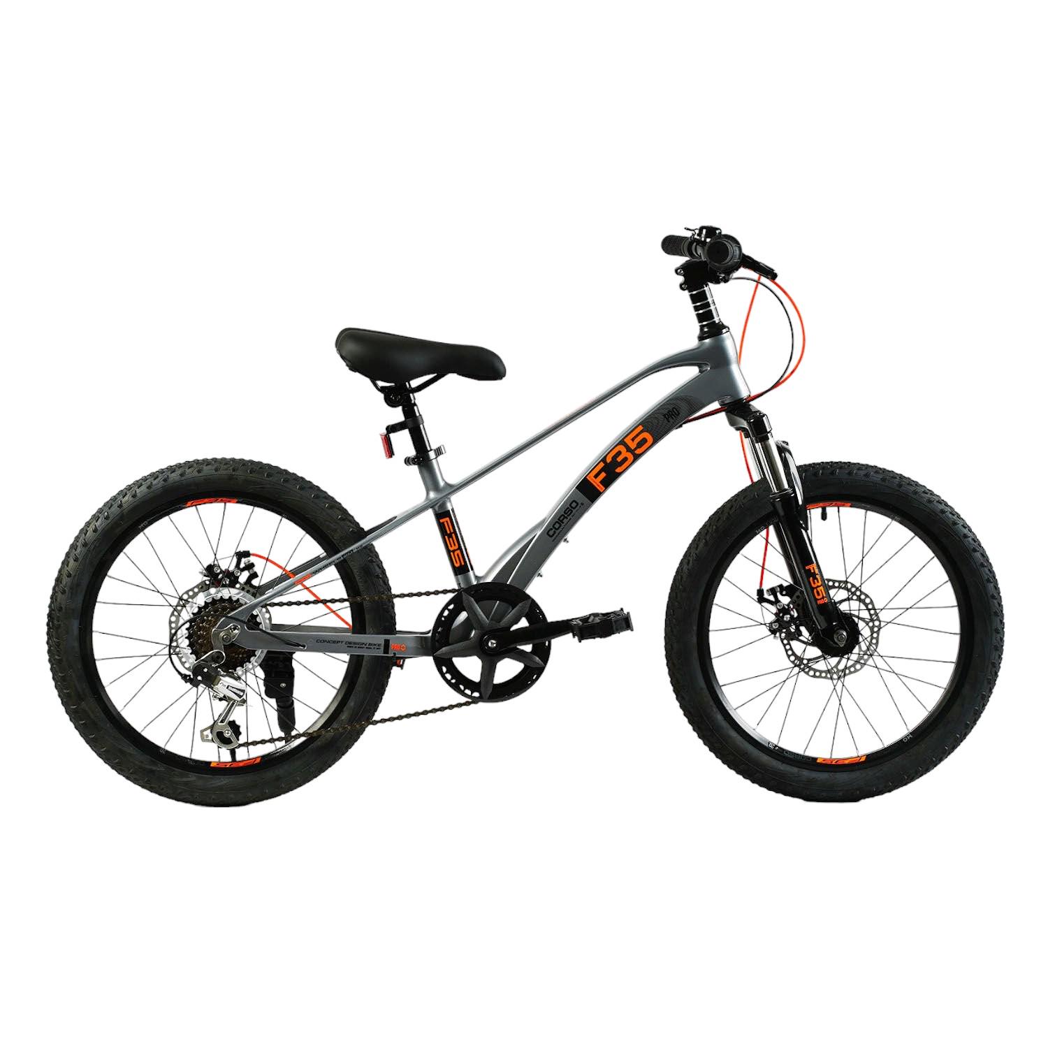 Велосипед Corso 20" F35 2024 Сірий (20415)