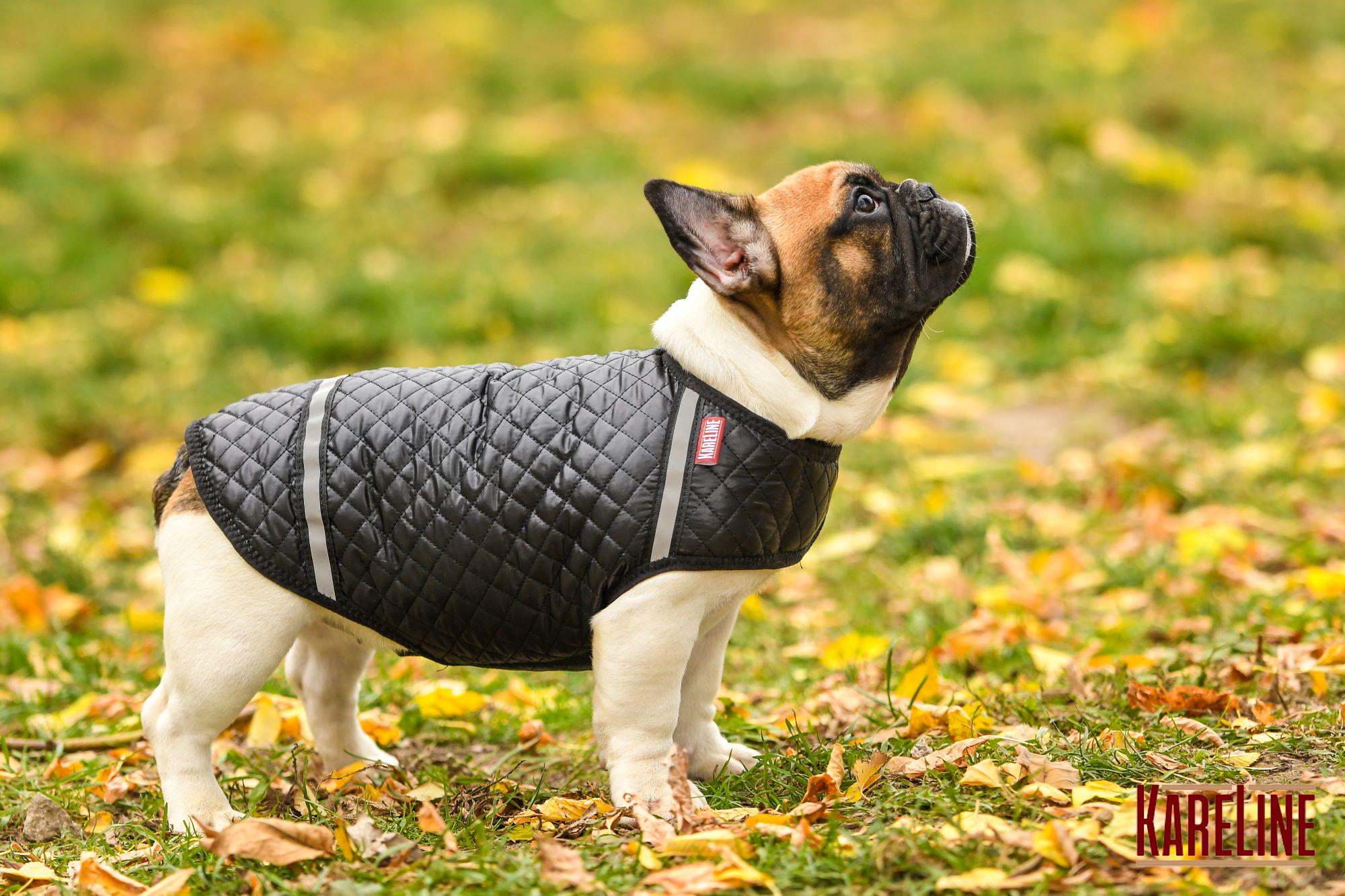 Попона KARELINE из стеганой плащевки на флисе ХS (90031/1) - фото 4 Попона KARELINE из стеганой плащевки на флисе ХS (90031/1) - фото 4