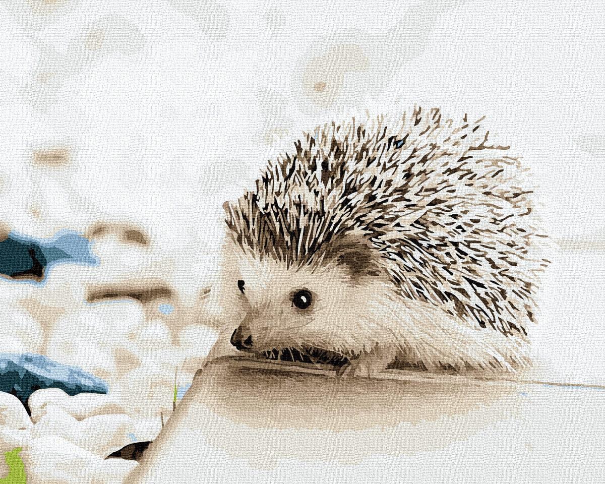 Картина по номерам Brushme GX21716 Ежик 40x50 см (1226951208)