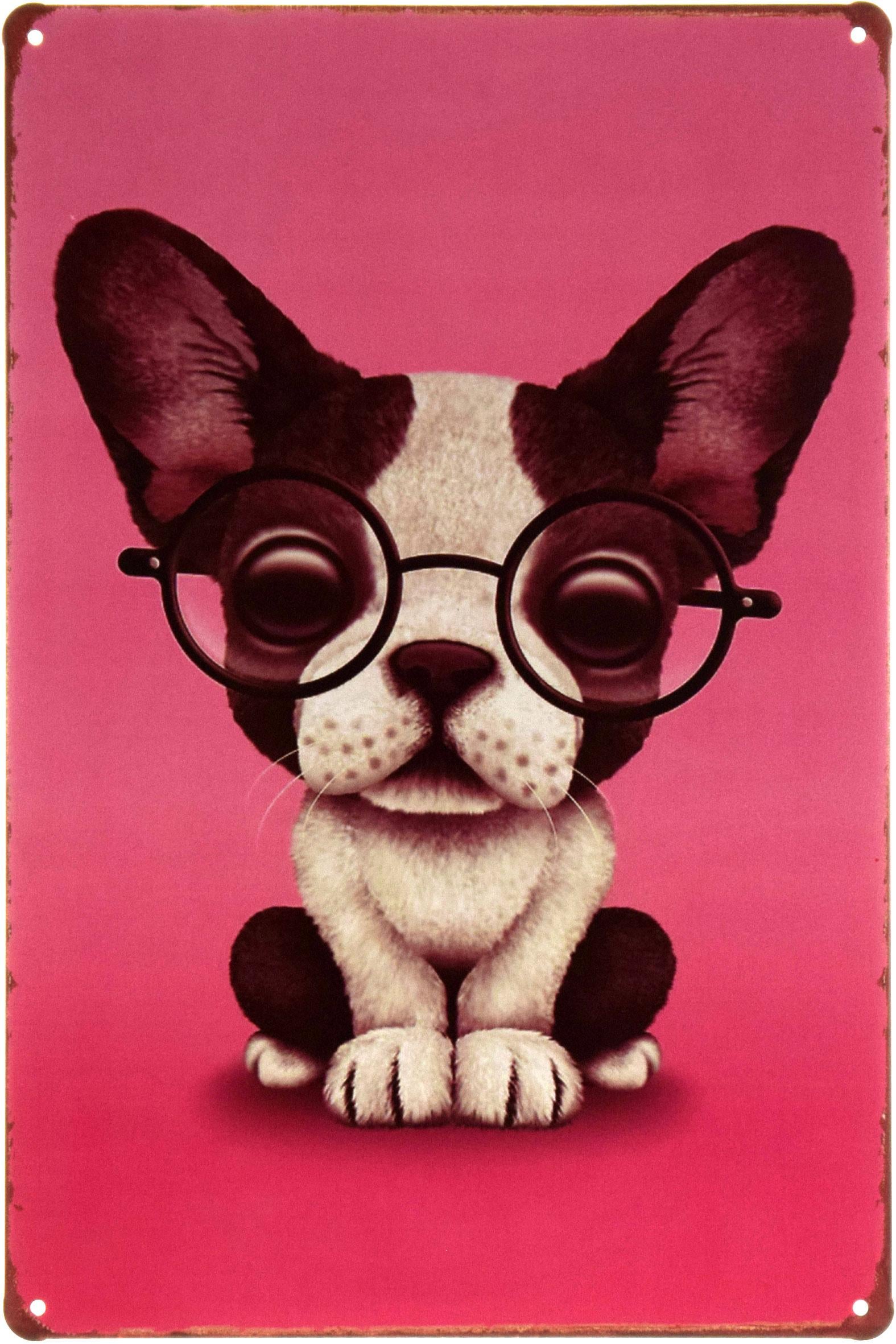 Табличка металлическая Французский Бульдог/French Bulldog 20x30 см