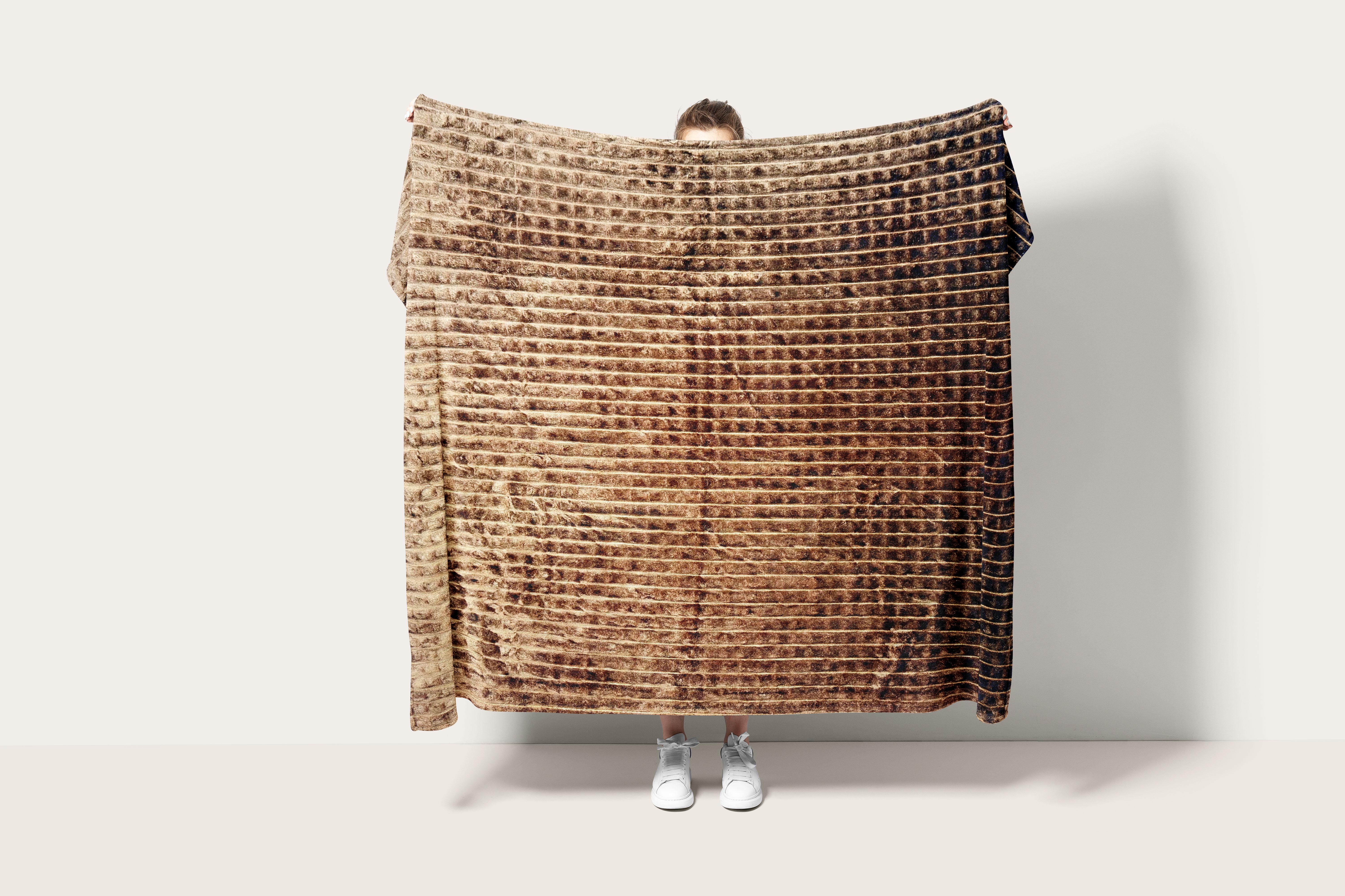 Плед плотный флисовый Квадратик 177х230 см Коричневый (F-2703brown/x180) Плед плотный флисовый Квадратик 177х230 см Коричневый (F-2703brown/x180)